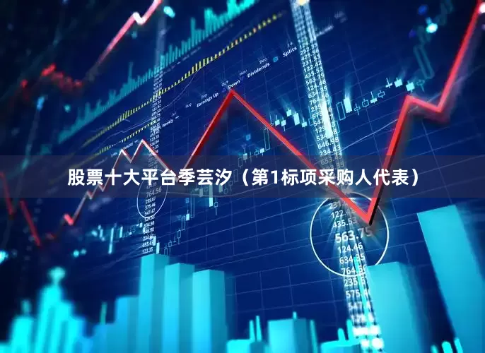 股票十大平台季芸汐（第1标项采购人代表）