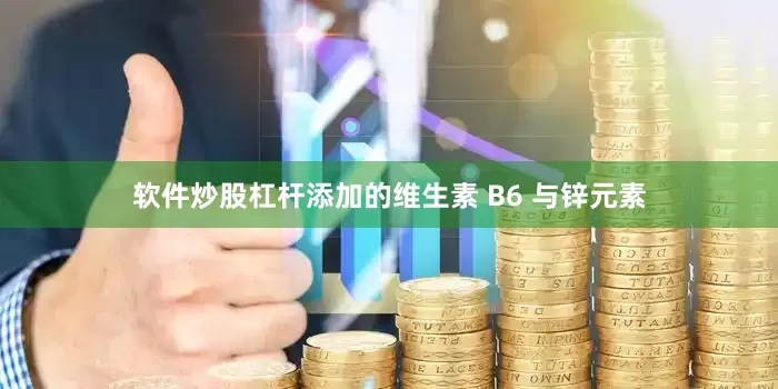 软件炒股杠杆添加的维生素 B6 与锌元素