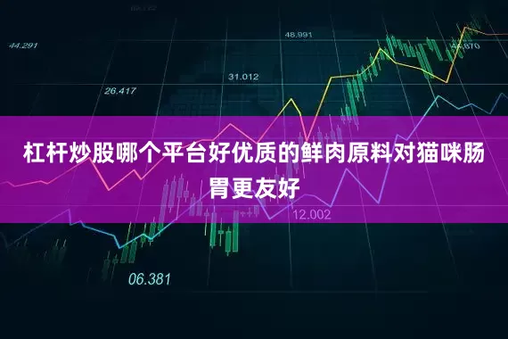 杠杆炒股哪个平台好优质的鲜肉原料对猫咪肠胃更友好